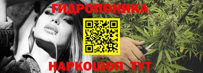 Альфа ПВП Волжск