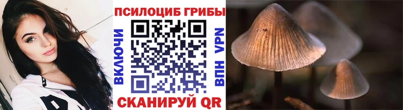 Галлюциногенные грибы Psilocybe  гидра маркетплейс  Мурманск 